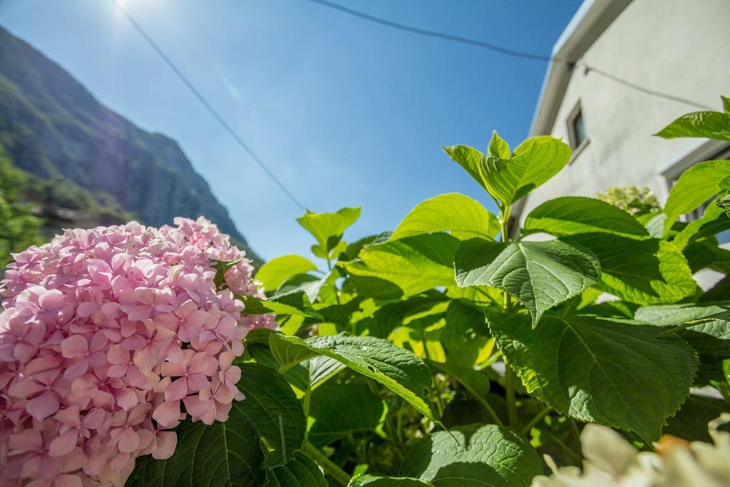 Farm Stay Ferjancic Vipava Dış mekan fotoğraf